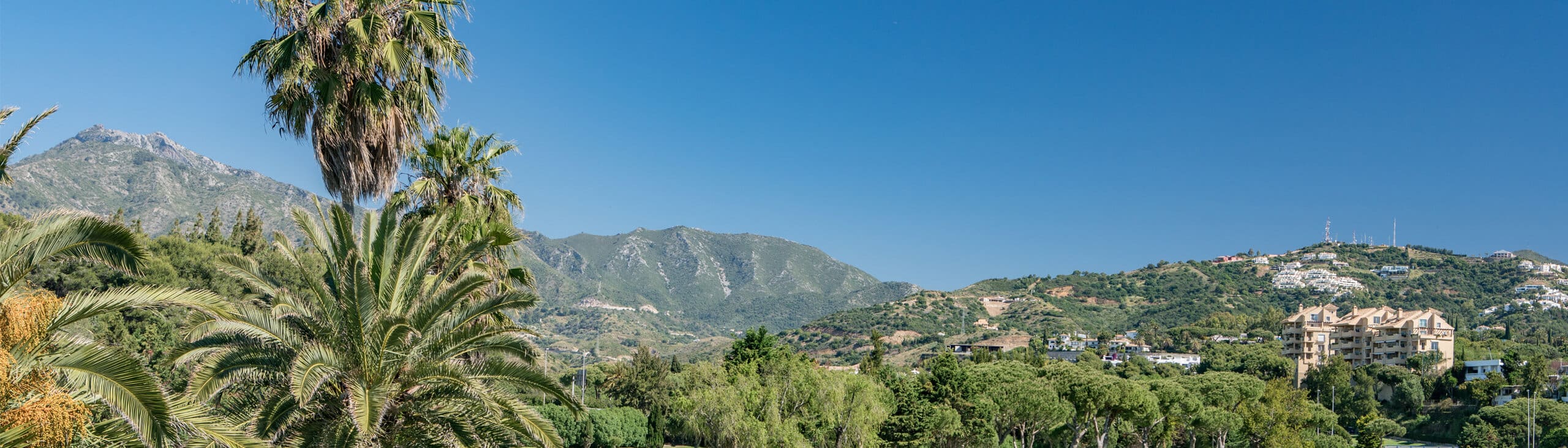 Homes for sale on the Costa del Sol